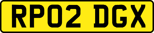 RP02DGX