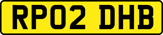 RP02DHB