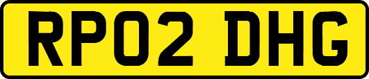RP02DHG