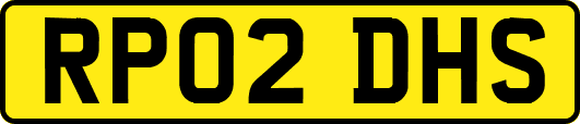 RP02DHS