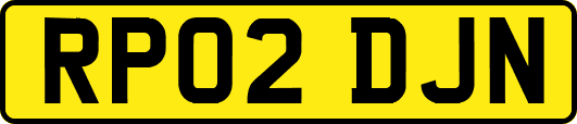 RP02DJN