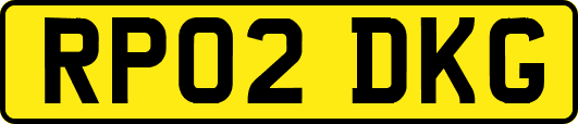 RP02DKG