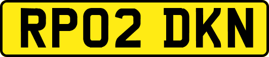RP02DKN