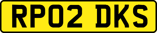 RP02DKS