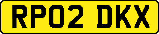 RP02DKX
