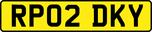 RP02DKY