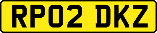 RP02DKZ