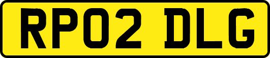 RP02DLG