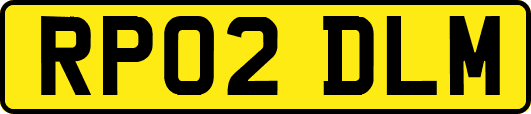 RP02DLM