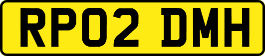 RP02DMH
