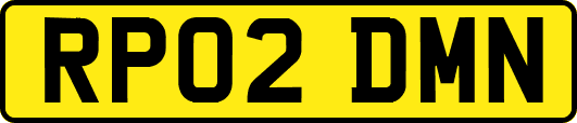 RP02DMN