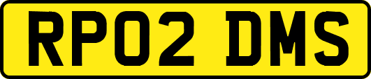 RP02DMS