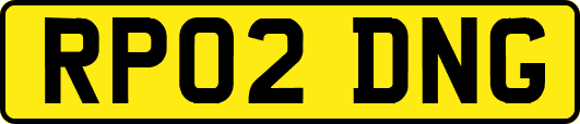 RP02DNG