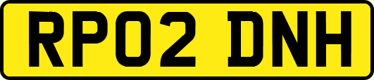 RP02DNH