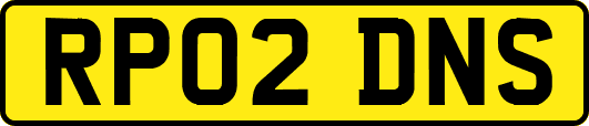 RP02DNS