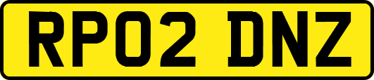 RP02DNZ