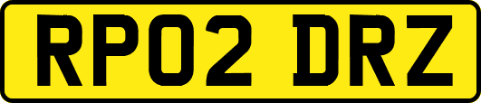 RP02DRZ
