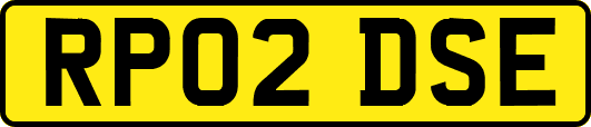 RP02DSE