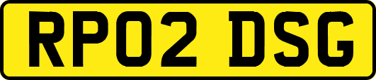 RP02DSG