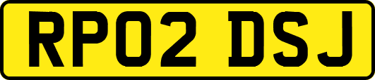 RP02DSJ