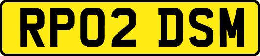 RP02DSM