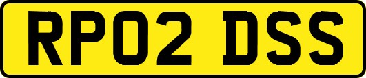 RP02DSS