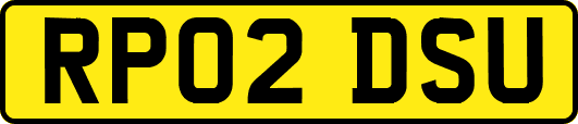 RP02DSU