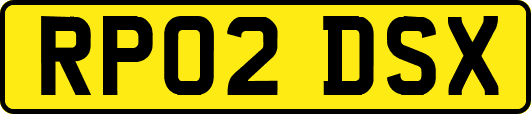 RP02DSX