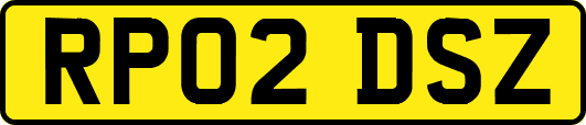 RP02DSZ