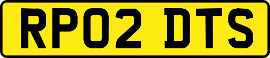 RP02DTS