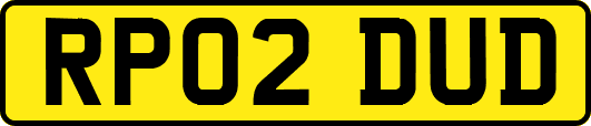 RP02DUD
