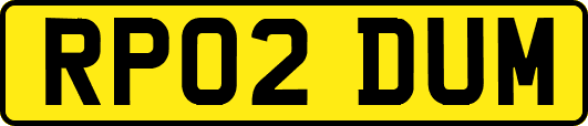 RP02DUM