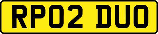 RP02DUO