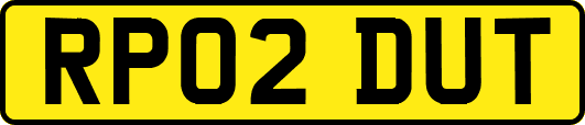 RP02DUT