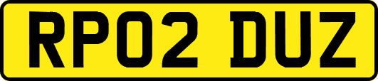 RP02DUZ