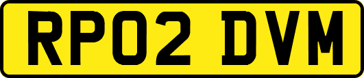 RP02DVM