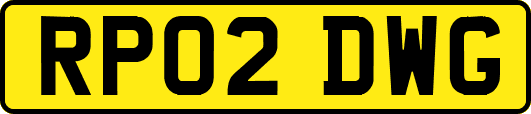 RP02DWG