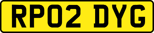 RP02DYG