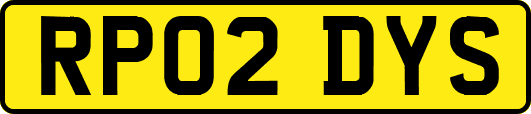 RP02DYS