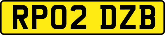 RP02DZB