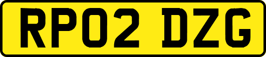 RP02DZG