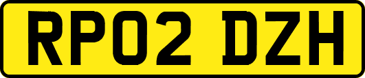 RP02DZH