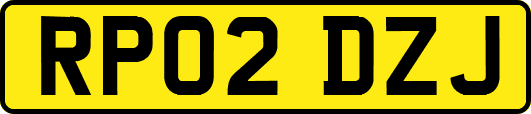RP02DZJ