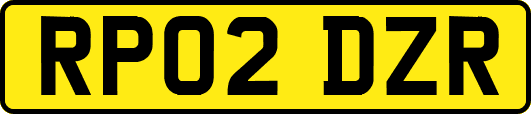 RP02DZR