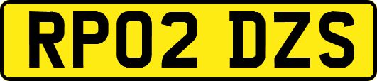 RP02DZS