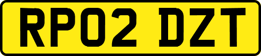 RP02DZT