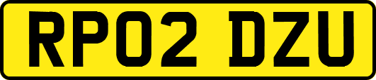 RP02DZU