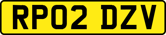 RP02DZV