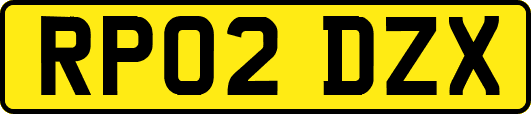 RP02DZX