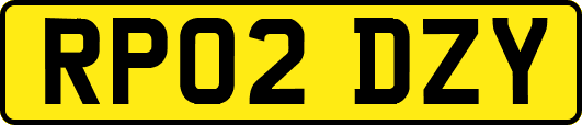 RP02DZY
